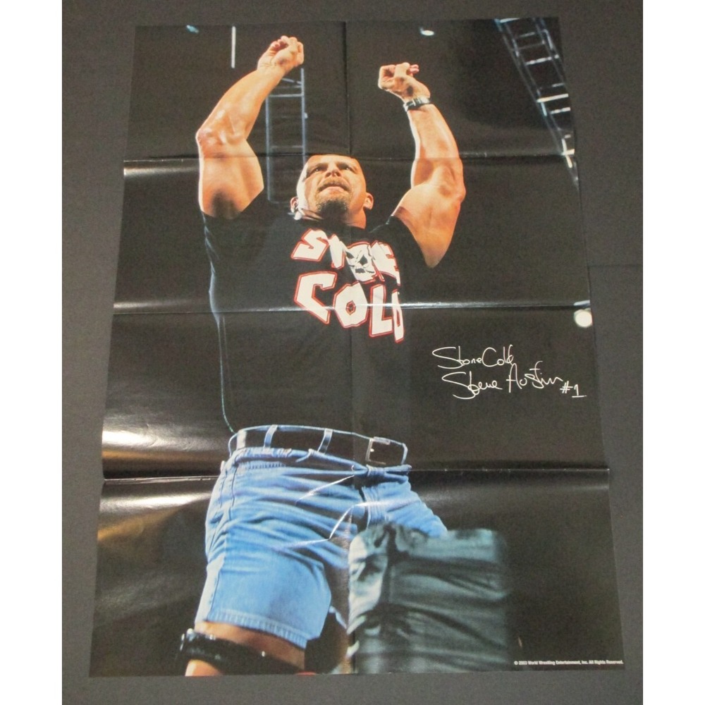 2003 WWE Stone Cold Steve Austin/Sable Double Sided Poster